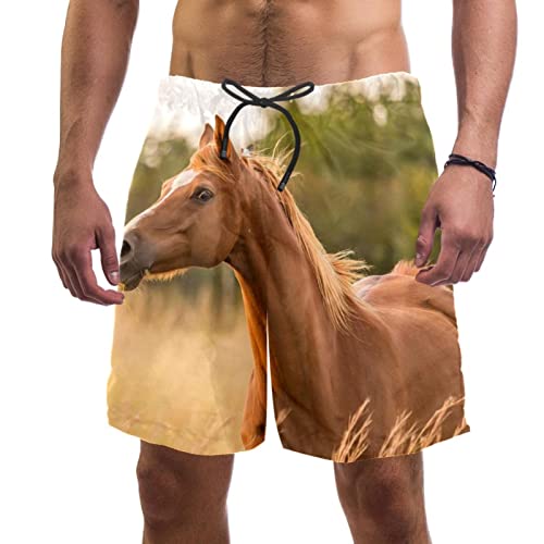 Maillot de bain homme cheval short de plage pour les vacances d'été