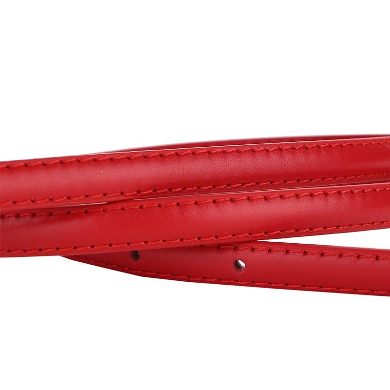 Small Belt Decorative Thin Belt With Dress Jeans4