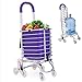 Carrello della Spesa Pieghevole Carrello per Scale di transito di utilità Carrello per la Spesa su Ruote Carrelli della Spesa con Ruota Girevole, Telaio in Alluminio Comodo Contenitore, Viola a /