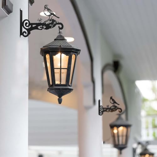 Heavy Duty Iron Plant Hangers - 2 Packs