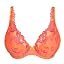 Sunset Blush