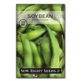 Sow Right Seeds - Chiba Green Soybean Seeds for Planting - Non-GMO Heirloom Packet with Instructions to Plant Vegetable Garden - Old Fashioned Bush Variety for Edamame - Wonderful Gardening Gift (1)