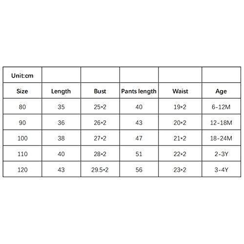 Infant Toddler Baby Girl One-Piece Swimsuit Floral/Flamingo Print Zipper Long Sleeve Ruffled Swimwear Bathing Suit (Pink Flower, 18-24 Months) #TOP6