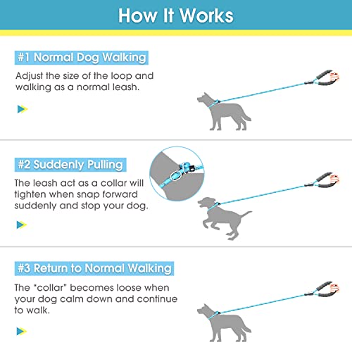 Baapet 6 Feet Slip Lead Dog Leash Anti-Choking With Upgraded Durable Rope Cover And Comfortable Padded Handle For Large, Medium, Small Dogs Trainning With Poop Bags And Dispenser (Black) #TOP3