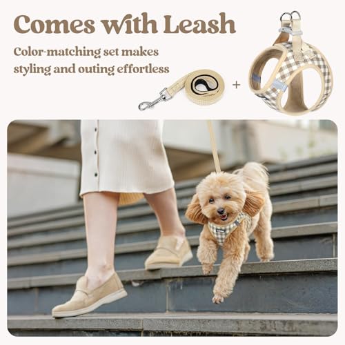 Image of rabbitgoo Dog Harness Small Sized and Leash Set, Step-in Puppy Pet Vest