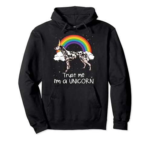 Rainbow Dalmatian Trust Me I'm A Unicorn Dog Pullover Hoodie, Black