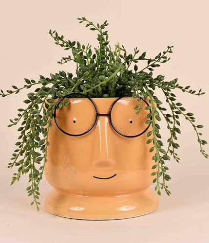 Image of Ceramic Face Planter with Glasses Design, Cute Cartoon Head Flower Pot for Indoor Plants, Succulents, Office Desk, or Home Decoration, Orange