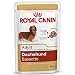 Royal Canin - Breed Health Nutrition Dachshund Adult, 12x85g