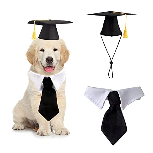 L   Lbv Ah KE | L  ƖXq lN^Ct | ybg RXv ^    L ƃp[eB[ANZT[