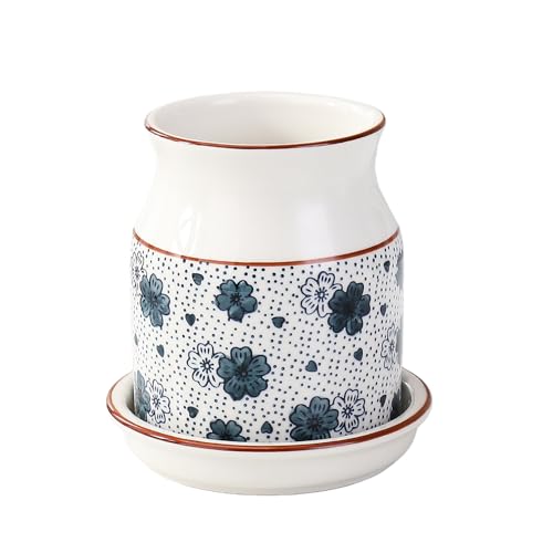 XVVX 퐻 Jg[X^h  [bN a̓퐻āA̐؂Lb`H̎[ɕ֗ȑ@\ƒpāB (J) [sAi]