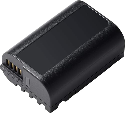 Batterie Lithium-ION longue autonomie pour Lumix DC-GH5S en voyage
