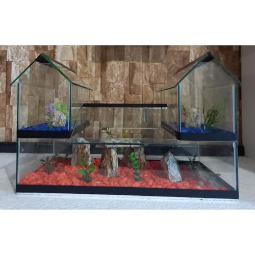 Aquário Beteira Castelo V Tripla 3 Compartimentos Versão Maior Peixe Betta Decorado