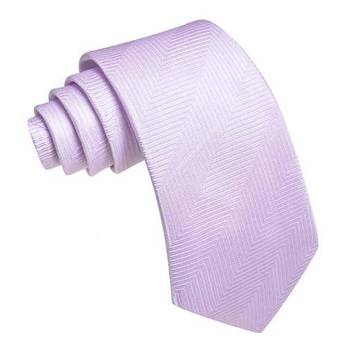 Image of Barry.Wang Silk Men Ties Formal Stripes Necktie and Tie Clip for Wedding Party Business Fashion Classic