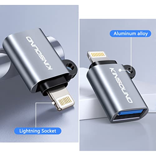 Image of Kinsound USB OTG (Grey Apple OTG)
