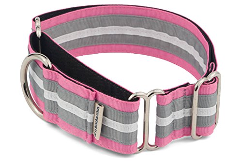 If It Barks - 1.5" Martingale Collar for Dogs - Adjustable - Nylon - Strong and Comfy - Ideal for Training - Made in USA - Large, Spunky