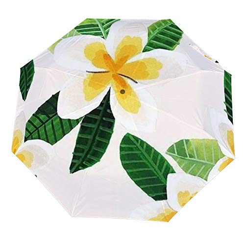 Parapluie de voyage ZIYA auvent renforcé pour ne plus subir les parapluies retournés