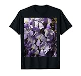 Botanical - Wisteria - Blossom- Vines - taiche
