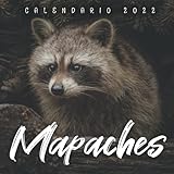 Mapaches Calendario 2022: Calendario 12 meses 2022 - 8.5 x 8.5 in cuando está cerrado y 8.5 x 17.0 in abierto - Organización y Planificación - Perfecto como regalos, suministros de oficina