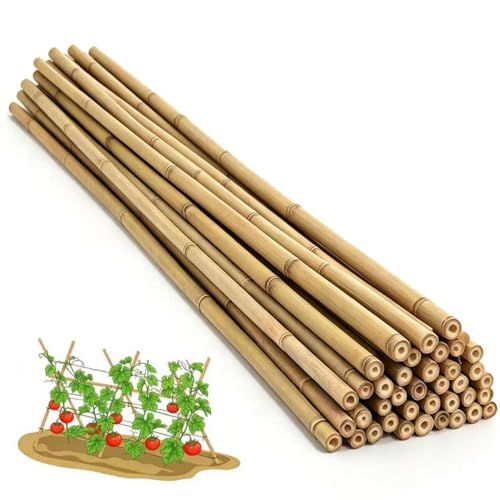 Plant Bamboo Post 8Feet 40Pack Bamboo Garden Stakes Bamboo Stakes for Tomato Beans Vegetable and Flowers Potted Plants Indoor and Outdoor Climbing Plants (8Ft 40Pack)