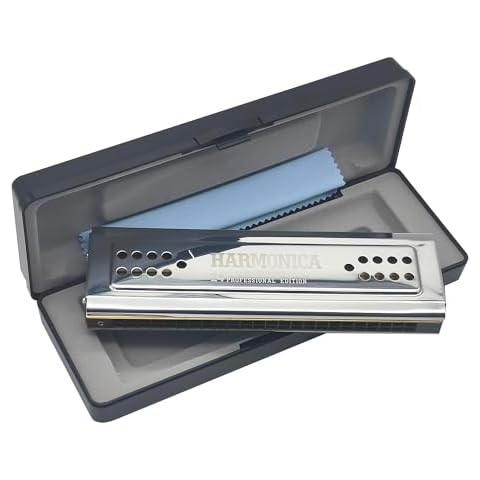 Professional Swan 24 Holes Key of C&G Double-side Tremolo Harmonica Mouth Organ Woodwind Instruments Cover