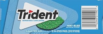 Trident Mint Bliss Bubble Gum, 1 Pound