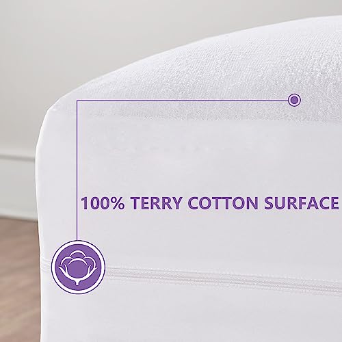 Best Bed Bug Mattress Encasement 2024 Get The Protection You Need