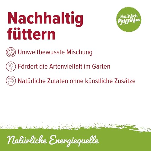 Natürlich Pfiffikus Vogel-Buffet – Fettfutterblock mit Insektenfett für Wildvögel – Vogelfutter Fettblock proteinreiches Ganzjahresfutter– nachhaltig & CO₂-sparend – Energiekuchen für Wildvögel