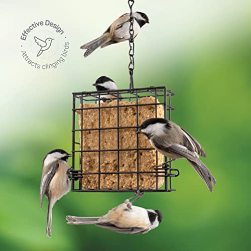 Suet Bird Feeders For Outside [2 Pk] Suet Wild Bird Feeders Use With Wild Bird Feeding Suet Cakes, Seed Cakes, Mealworm Cakes - Suet Feeder Cage/Suet Feeder For Outside Hanging/Suet Cage Bird Feeder #TOP2