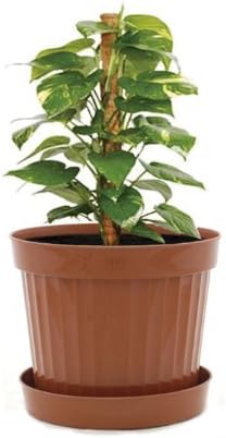 Plastic Decorative Pots #1 Terracota, 6 Pack