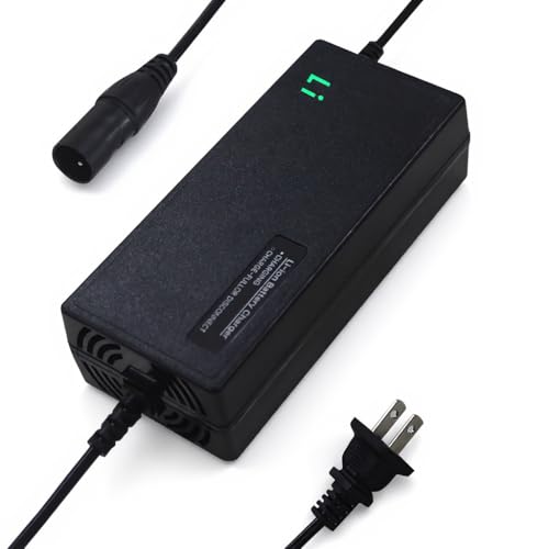 Zylvro Universal Electric Bike Charger, 54.6V, 2AH, for 48V Lithium Battery, for DeepPower K301/ E14 / DTTZH/ASKGO/APYEAR/LELEKUAI and Other E-Bike, Black