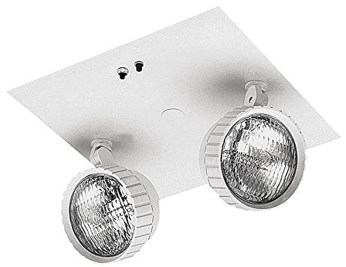 ACUITY LITHONIA 2 Incandescent Lamps, Emergency Light