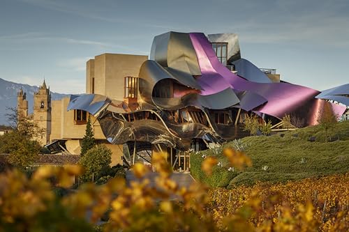 Marqués de Riscal - Vino tinto Reserva Denominación de Origen Calificada Rioja, Variedad Tempranillo, 24 meses en barrica - Botella individual x 750 ml