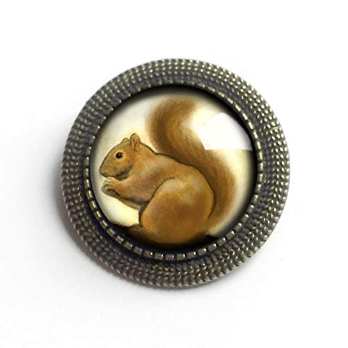 Fluffy-Tailed Squirrel Brooch #TOP3