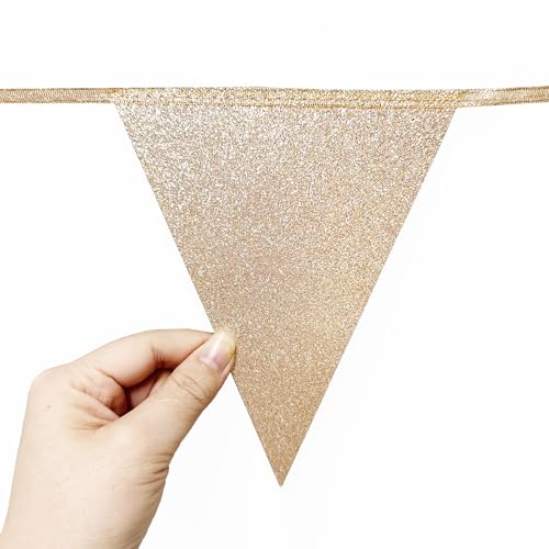 image for pinkblume Champagne Gold Dusty Rose Pink Beige Party Pennant Banner Fl