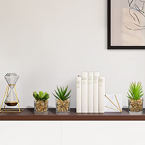 Briful Artificial Succulents Fake Succulent Plants, Set of 4 Small Fake Plants in Square Glass Pots Artificial Indoor Plants for Bathroom Bedroom Kitchen Home Decor - Cosy Home Interiors Briful Artificial Succulents Fake Succulent Plants, Set of 4 Small Fake Plants in Square Glass Pots Artificial Indoor Plants for Bathroom Bedroom Kitchen Home Decor - Image 4
