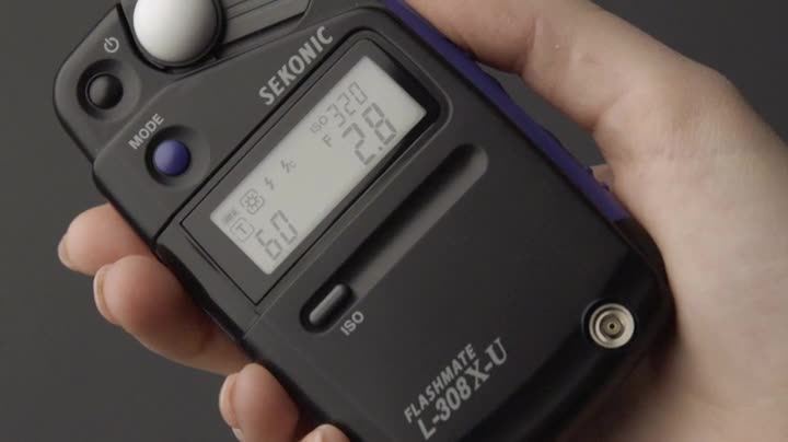 Sekonic L-308X Flashmate Light Meter (401-305) : Amazon.ca