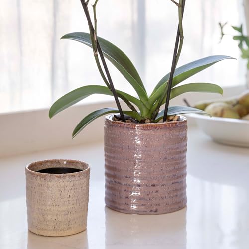 Ivyline Chambray Reactive Rustic Planter in Rose, Lightweight and Stylish - Image 2