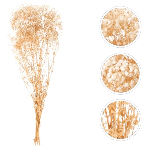 Ramo de Flores Secas Gypsophila Beige 120g miniatura 7