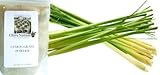 Olivenation Lemon Grass Powder, 1 Ounce