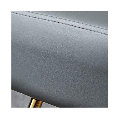 GAAHRQQQ Salon Recliner Personal Care Salon Hair Styling Chair with Hydraulic Pump Beauty Personal Care Hydraulic Reclining Chair Tattoo Chair for Salon Beauty Equipment - Image 4