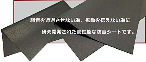 Amazon.co.jp: 高性能防音シートの決定版！遮音シートZS【厚さ3mm 