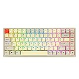 EPOMAKER EP84 84-Key RGB Hotswap Wired Mechanical Gaming Keyboard with PBT Dye-subbed Keycaps for Mac/Win/Gamers (Gateron Blue Switch, Vintage Grey White)