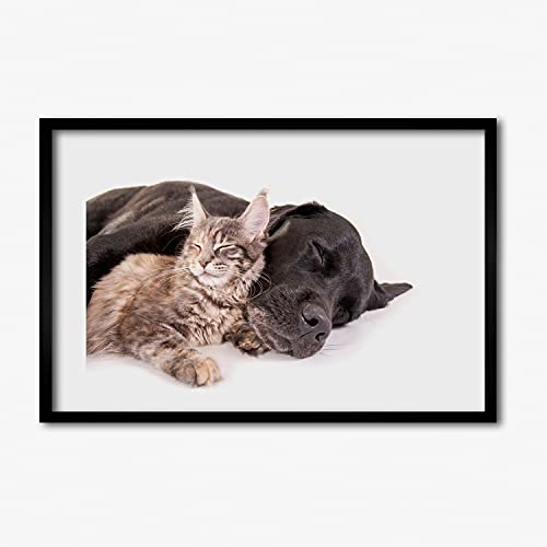 Cadre MDF 60x40 cm avec tableau moderne de chien et chat Tulup