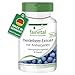 Produktbild Fairvital | Heidelbeer-Extrakt mit Anthocyanen - 90 Kapseln - HOCHDOSIERT - 25% Anthocyane - VEGAN