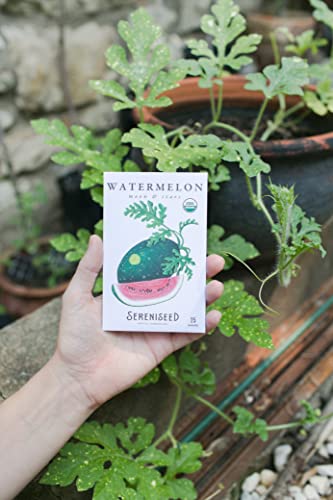 Image of Sereniseed Certified Organic Vegetable Seeds (20-Pack) - Non GMO, Open Pollinated - Basil, Snap Pea, Broccoli, Bean, Jalapeno, Tomato, Lettuce, Cucumber, Carrot, Zucchini Seeds for Planting