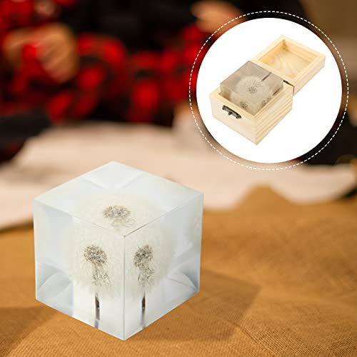 Vosarea Glass Balls 3D Dandelion Crystal Glass Cube Transparent Desktop Statue Ornament For Birthday Wedding Valentine Gift Home Decor #TOP6