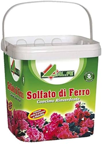 BERARDI | Solfato di ferro granulare KG 5 | Rinverdente sale di ferro S27 | Antimuschio, ricco di ferro | Rinverdente per prato fiori e piante