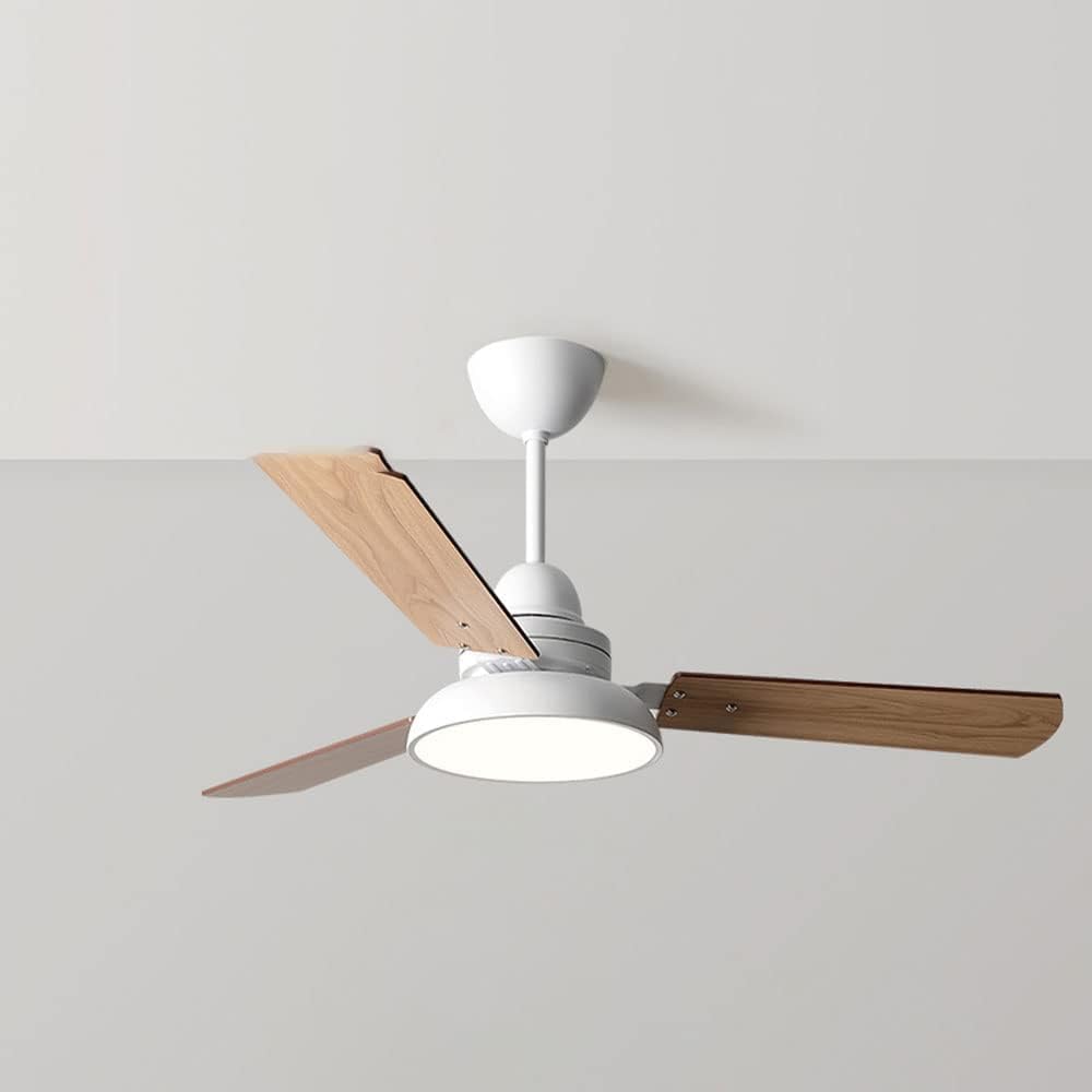 Ventilateur de plafond avec éclairage intérieur suspension bois vert variateur intelligent