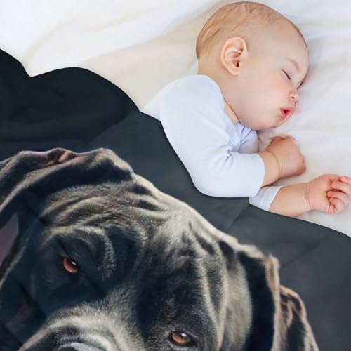 Manta Cane Corso de forro polar suave para dormitorio y salon 4