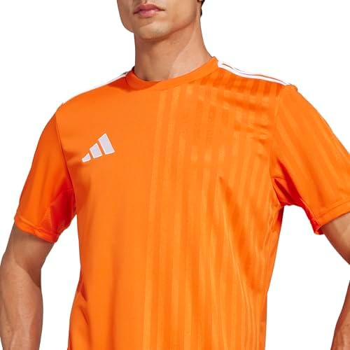Resim Adidas Campeon25 Jsy M Erkek Futbol Antrenman Forması JF6061Mavi 
